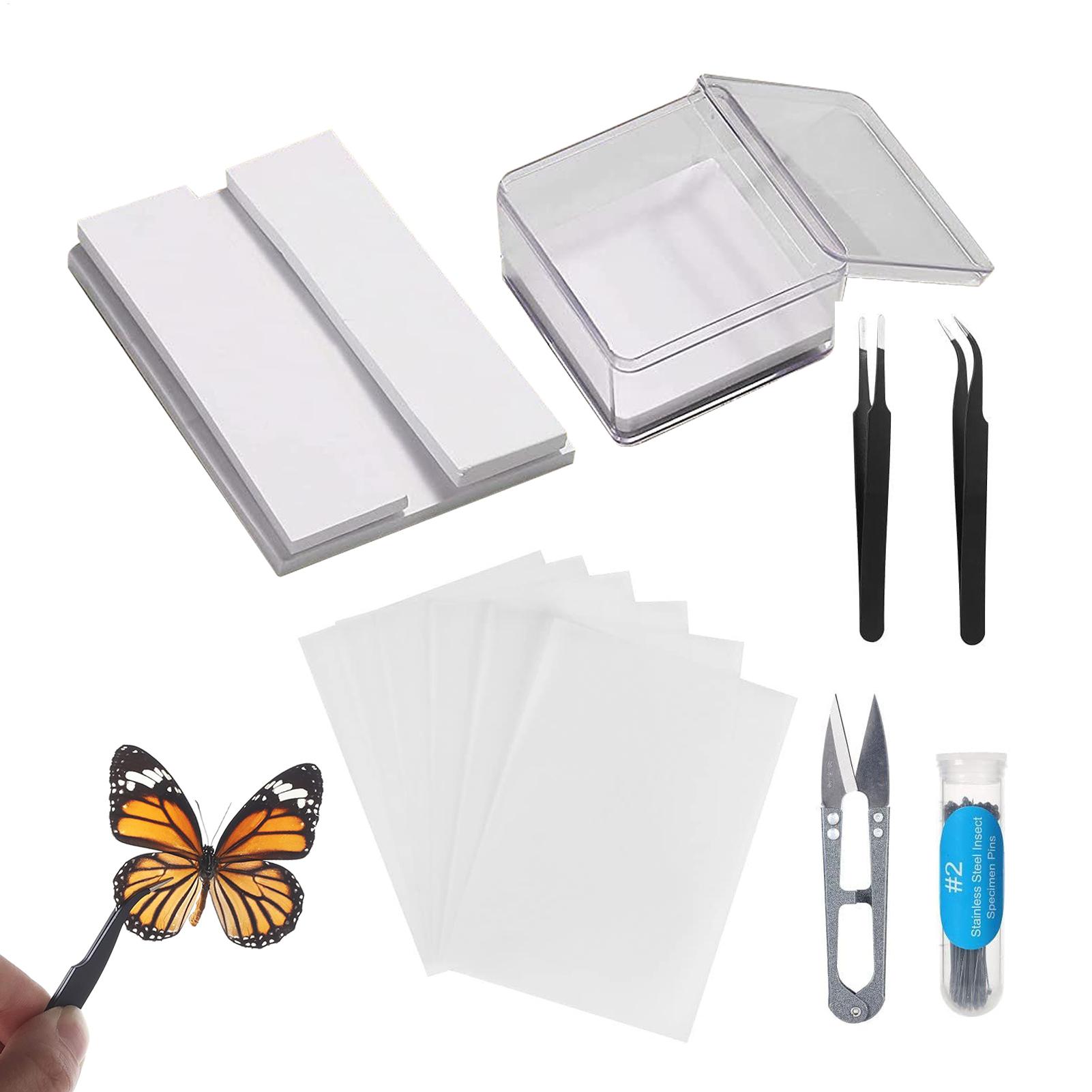 Science Toys Diy - Insect Specimen Making Tools DIY Butterfly