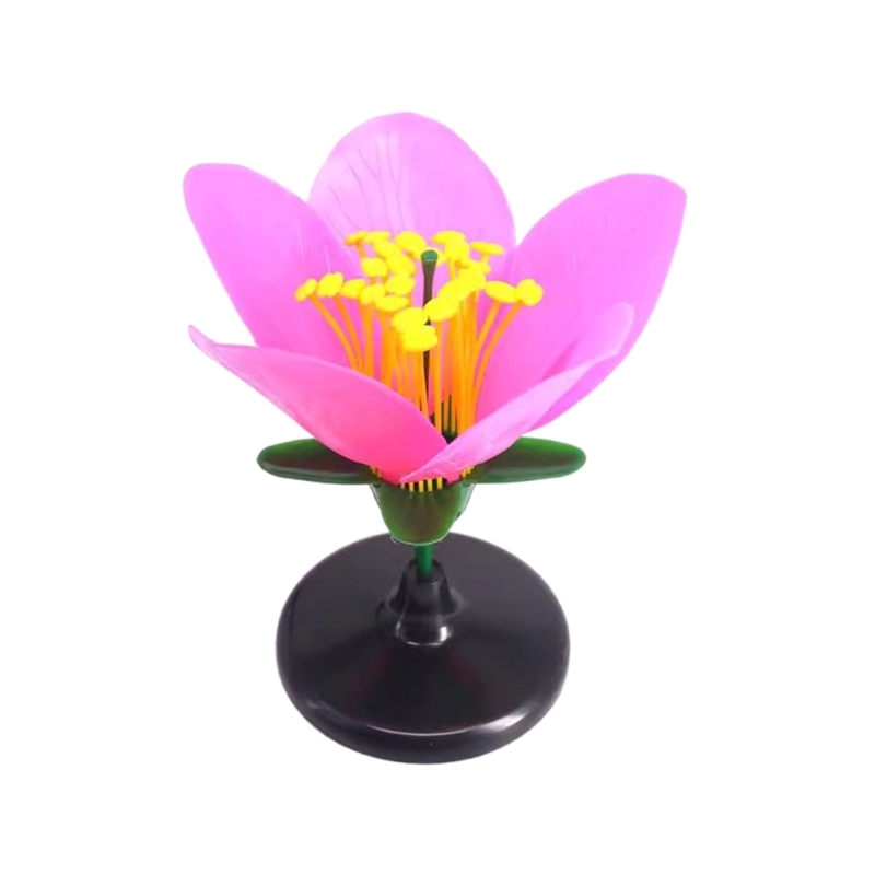 K9FC Realistic Plant Teaching  - Science Exhibition Models recension och pris