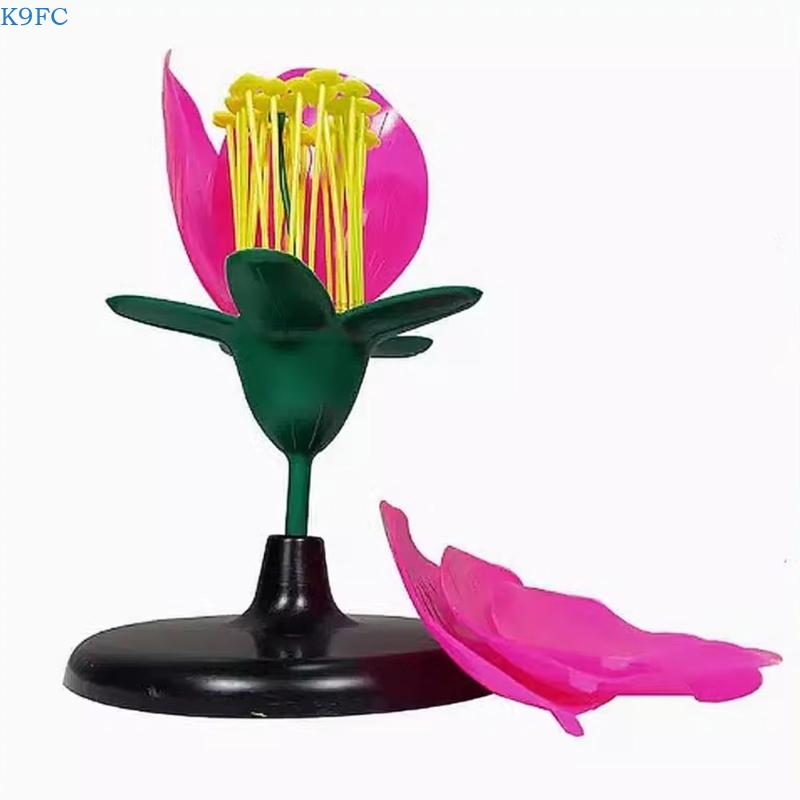 K9FC Realistic Plant Teaching  - Science Exhibition Models recension och pris