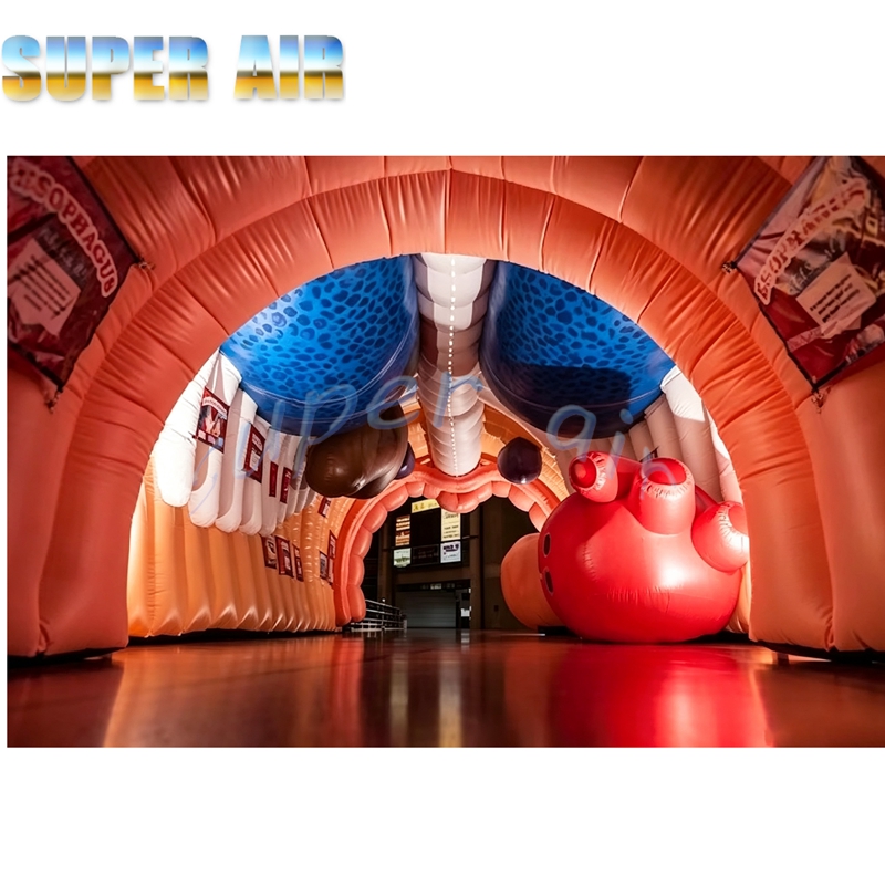 Giant Inflatable Human Body Mo - Science Exhibition Models recension och pris