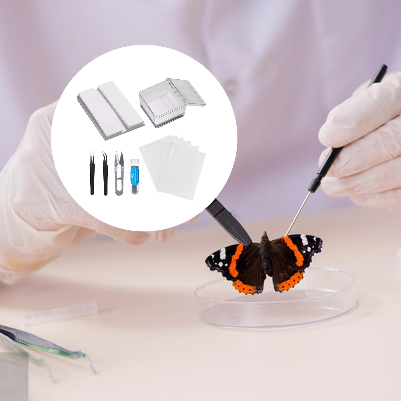Insect Specimen Making Tools D - Science Toys Diy recension och pris